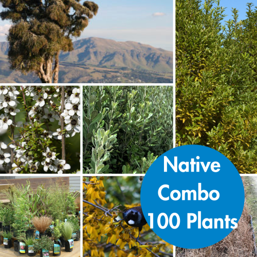 Native Combo 100 Plants